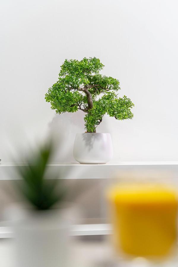 Apartamento Jkg Solutions Presents Cosy *